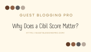 what is the importance of Cibil score