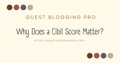what is the importance of Cibil score