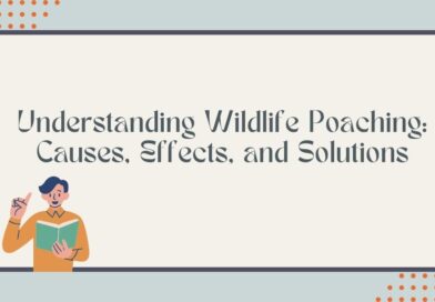 Understanding Wildlife Poaching