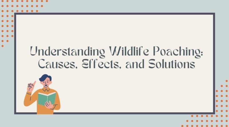 Understanding Wildlife Poaching